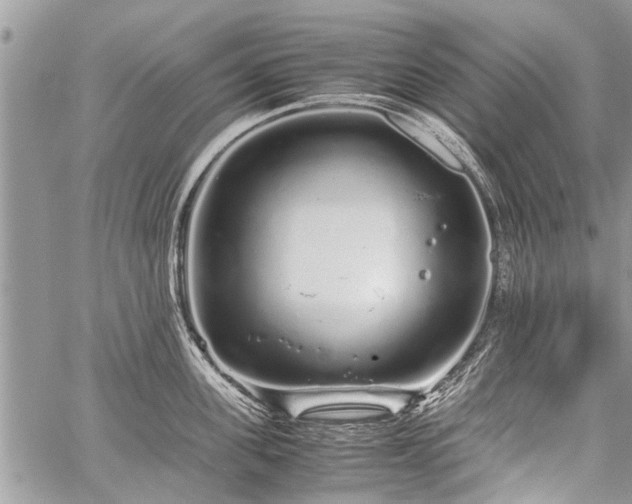 X0000059800955200510211048