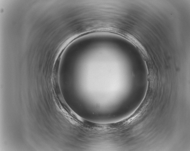 X0000059800956200510211048