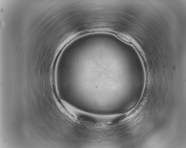 X0000059800957200510211048