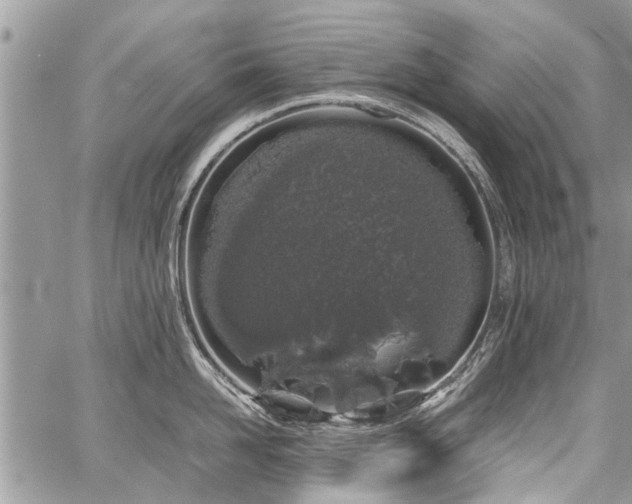 X0000059800958200510211048