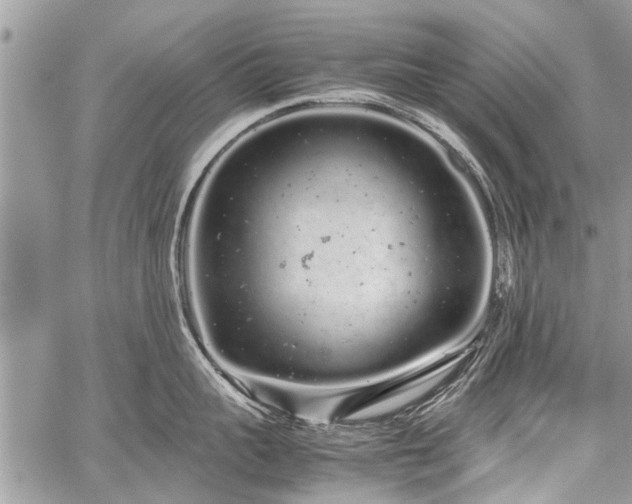 X0000059800959200510211048