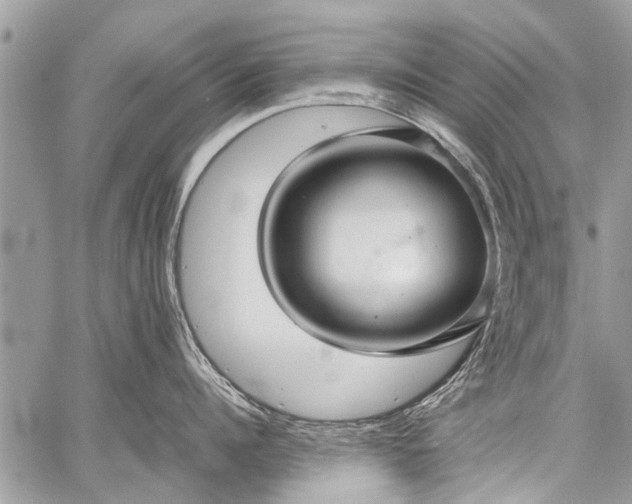 X0000059800960200510211048