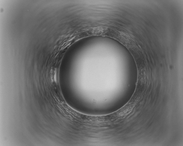 X0000059800962200510211047