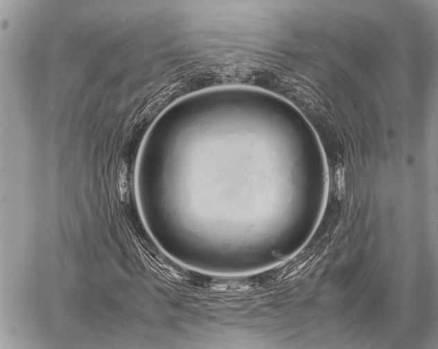 X0000059800963200510211047