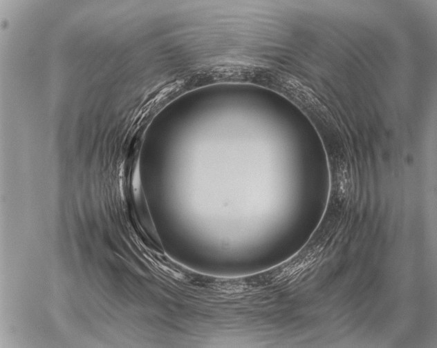 X0000059800964200510211047