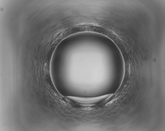 X0000059800965200510211047