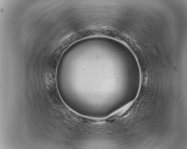 X0000059800966200510211047