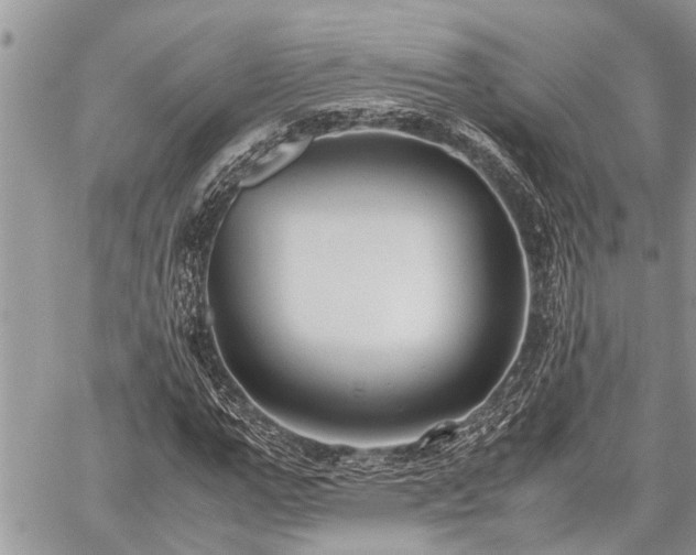 X0000059800967200510211047