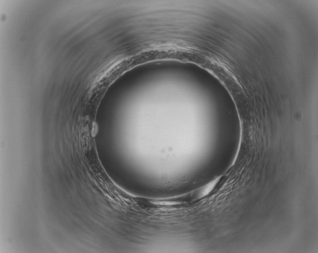 X0000059800968200510211047