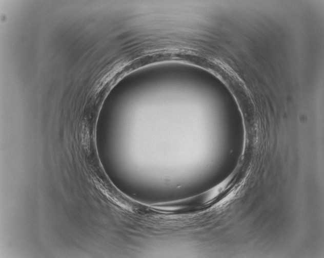 X0000059800969200510211047