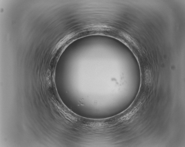 X0000059800970200510211047