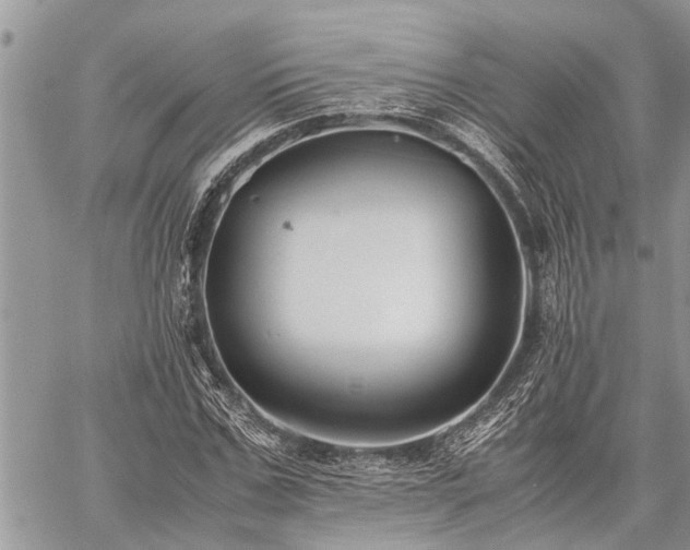 X0000059800971200510211047