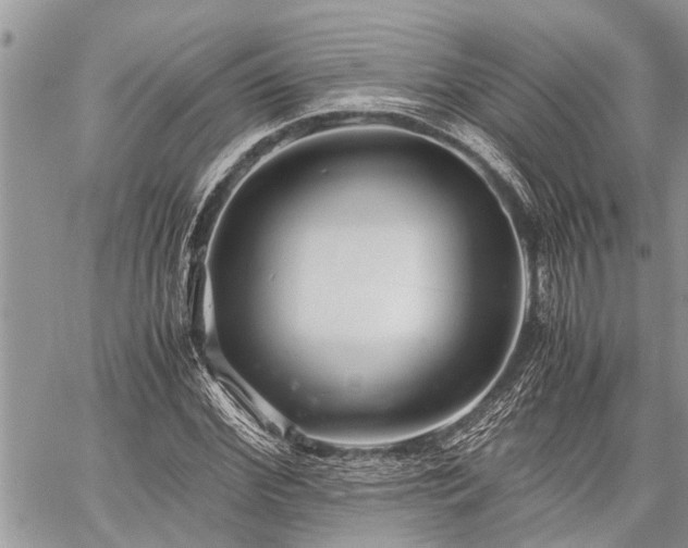 X0000059800972200510211047