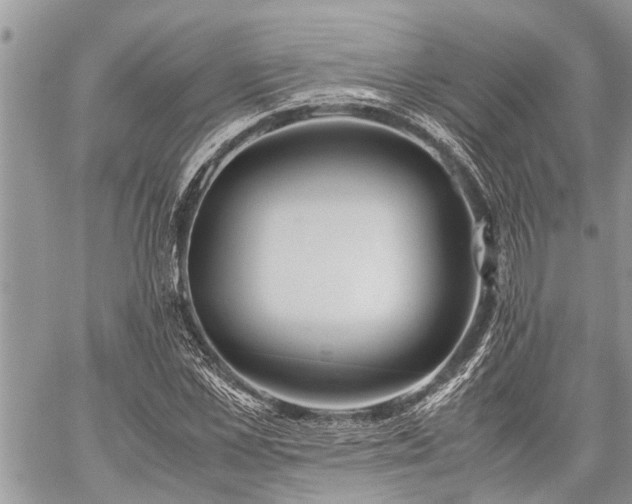 X0000059800973200510211047