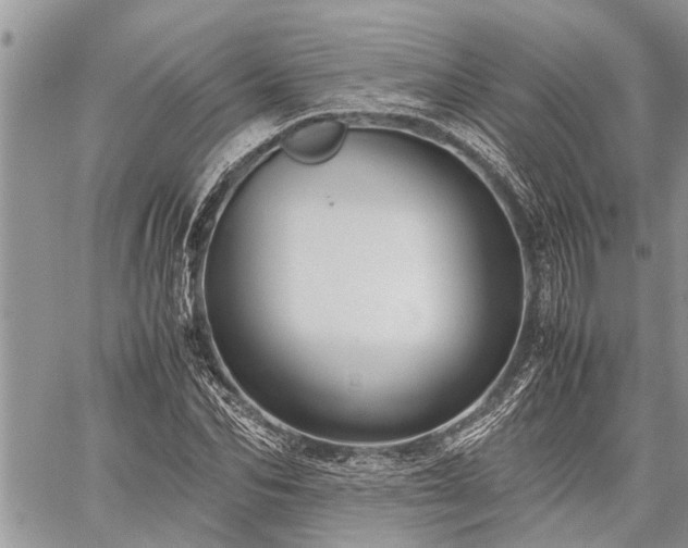 X0000059800974200510211047