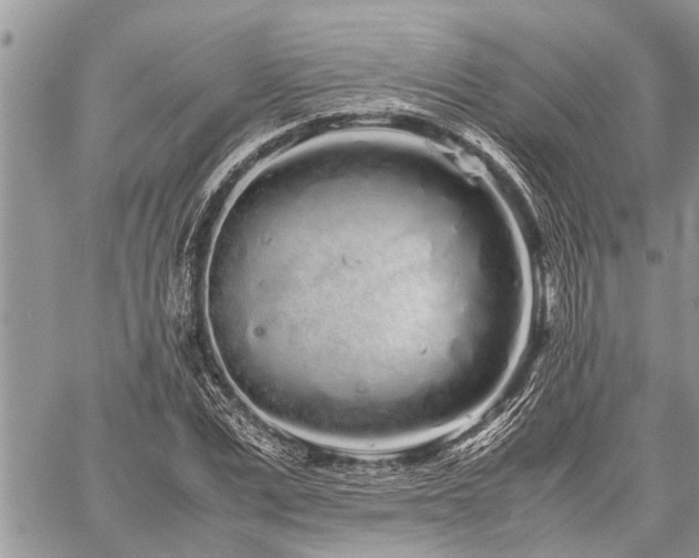 X0000059800975200510211047