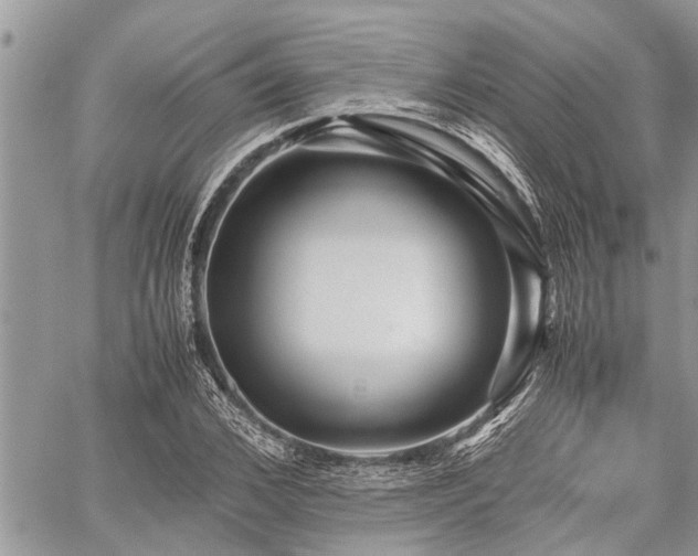 X0000059800976200510211047