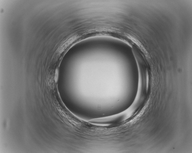 X0000059800977200510211047