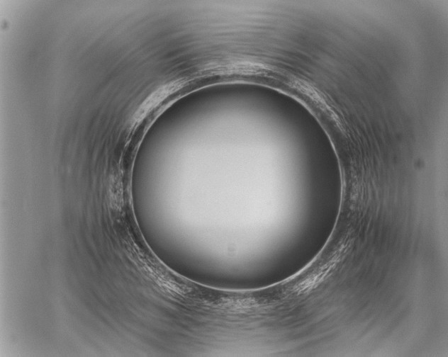 X0000059800978200510211047