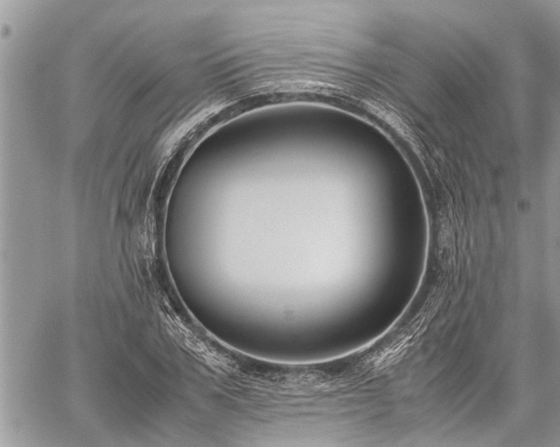 X0000059800979200510211047