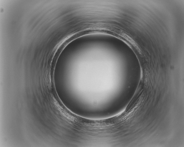 X0000059800980200510211047