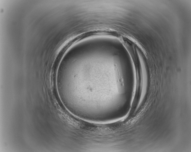 X0000059800983200510211047