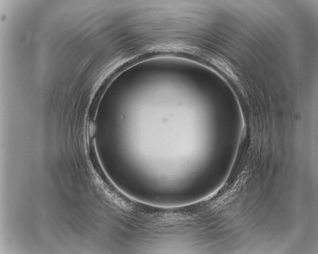 X0000059800984200510211047