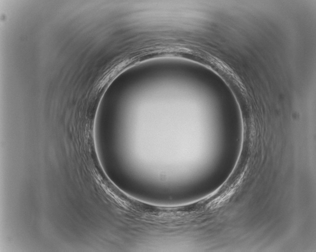 X0000059800985200510211047