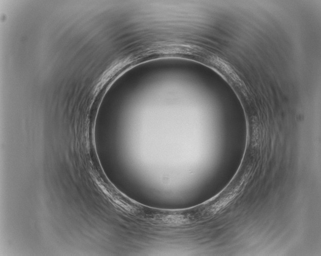 X0000059800986200510211047