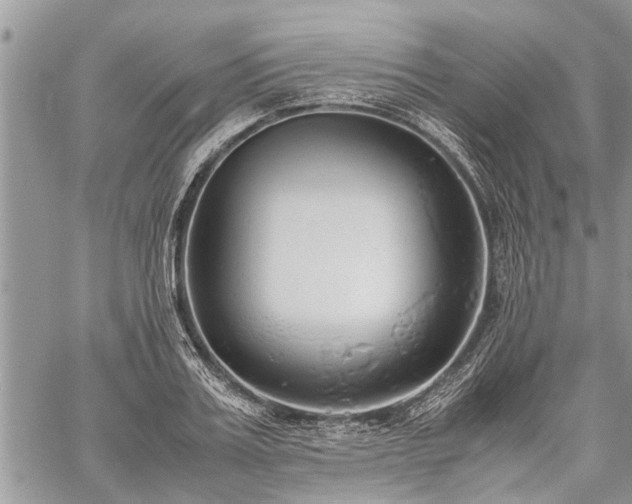 X0000059800987200510211047