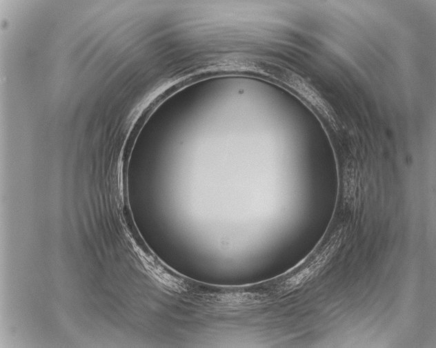 X0000059800988200510211047