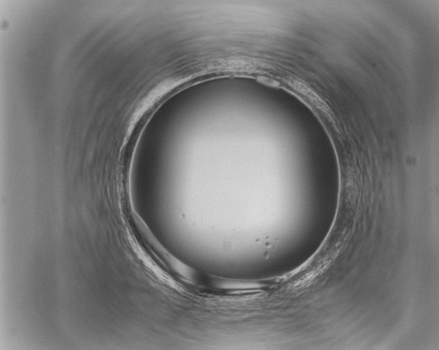 X0000059800989200510211047