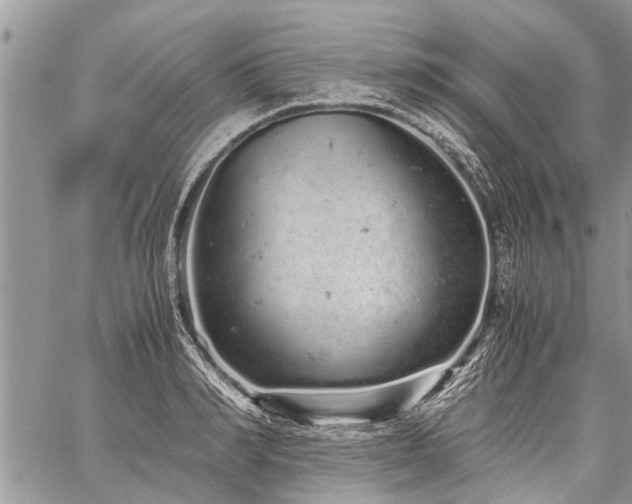 X0000059800990200510211047