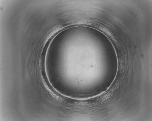 X0000059800991200510211047