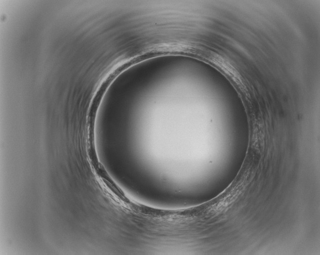 X0000059800992200510211047