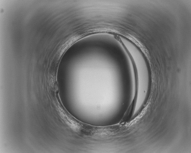 X0000059800993200510211047