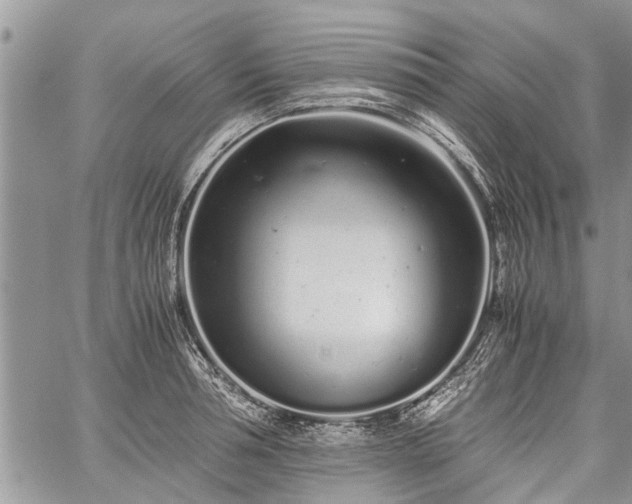 X0000059800994200510211047