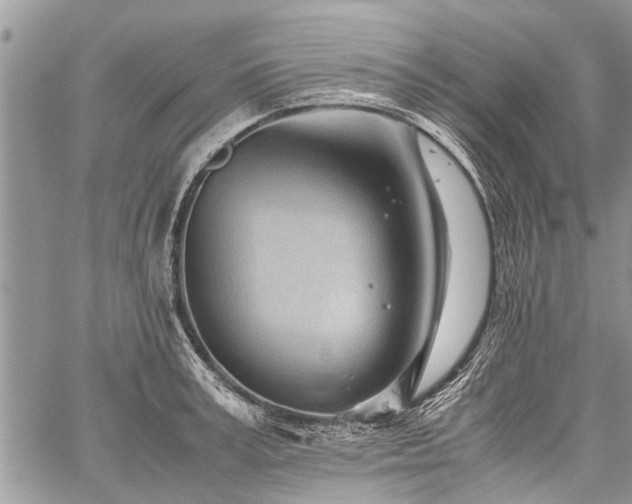 X0000059800995200510211047