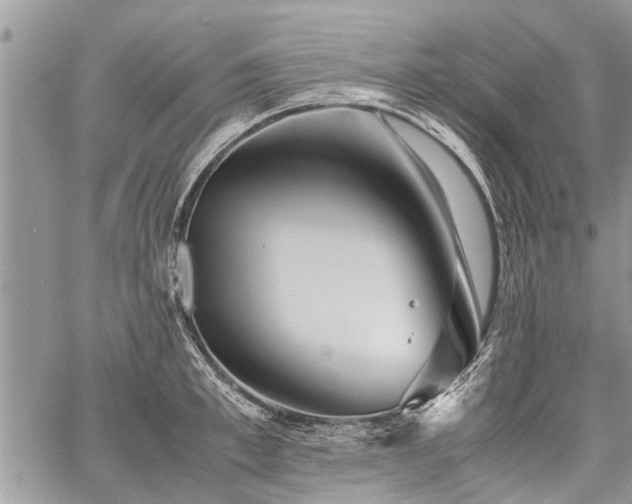 X0000059800997200510211047