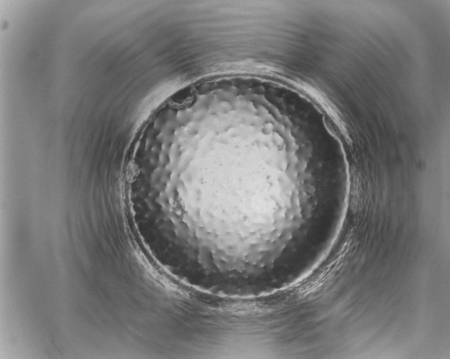 X0000059800998200510211047