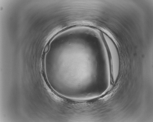 X0000059800999200510211047