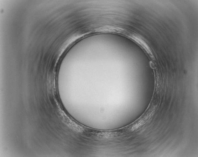 X0000059801000200510211047