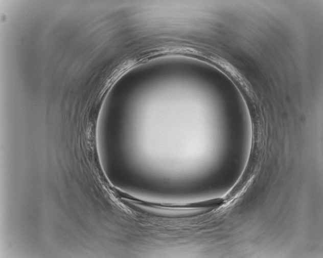 X0000059801001200510211047