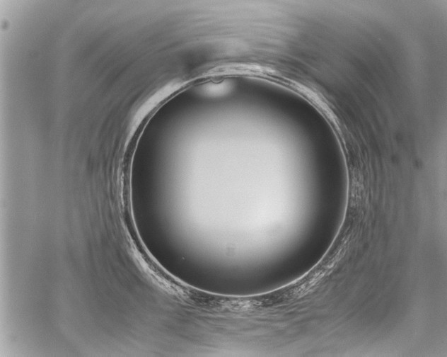 X0000059801003200510211047