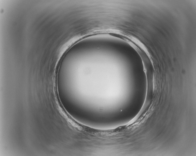 X0000059801005200510211047