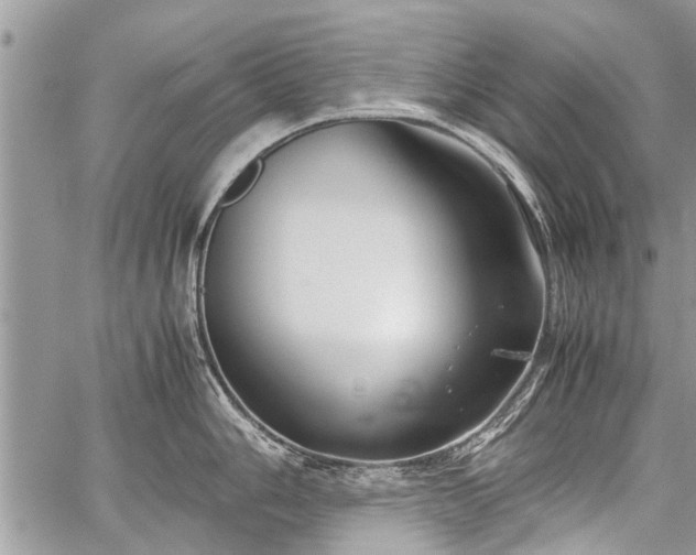 X0000059801006200510211047