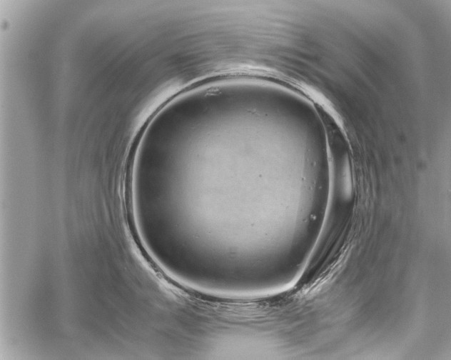 X0000059801007200510211047