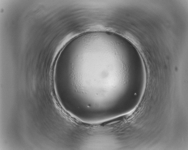 X0000059801008200510211047