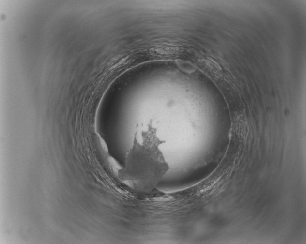 X0000059801009200510211046