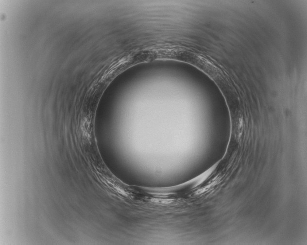 X0000059801010200510211046